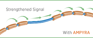 Mechanism of Action: AMPYRA may help strengthen nerve signals to coordinate walking Mechanism of Action: AMPYRA may help strengthen nerve signals to coordinate walking